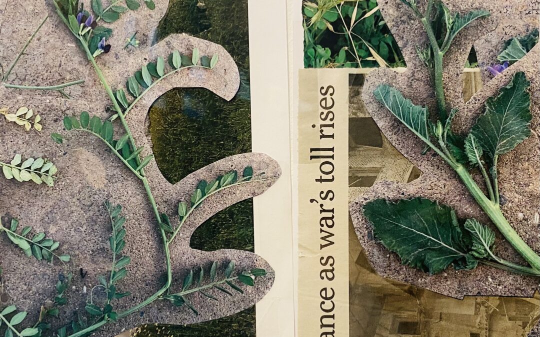 DÍA DE ANDALUCÍA: TALLER PARA FAMILIAS «CIANOTIPIA VEGETAL»