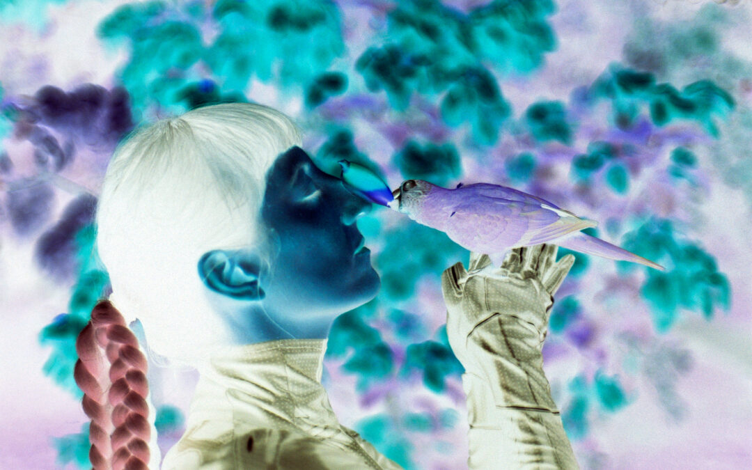 MIRO A UNA HOJA, ENFOCO Y VEO SU CARA GEOMÉTRICA